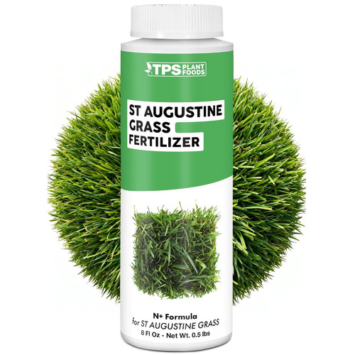 Augustine grass fertilizer - st,